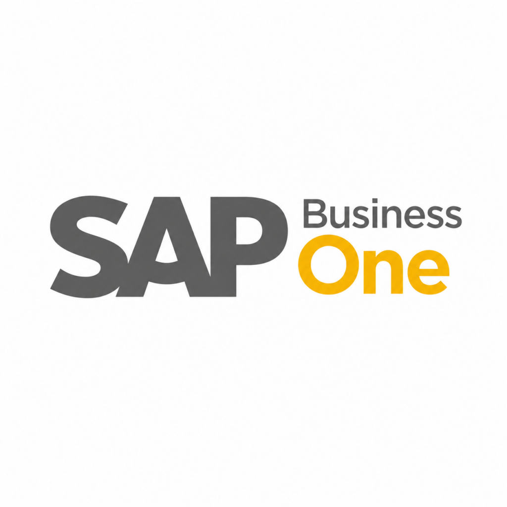הטמעת SAP Business One
